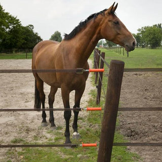 Bandklem  - Voor 40mm lint, 4 stuks - Lands End B.V.