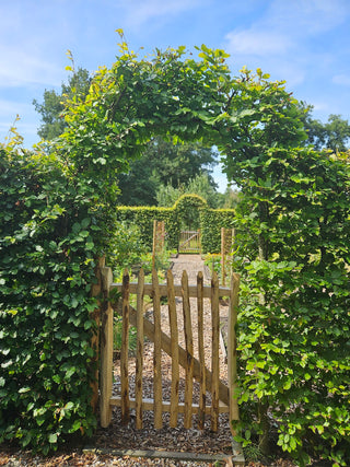 Kastanje poort - 115cm hoog